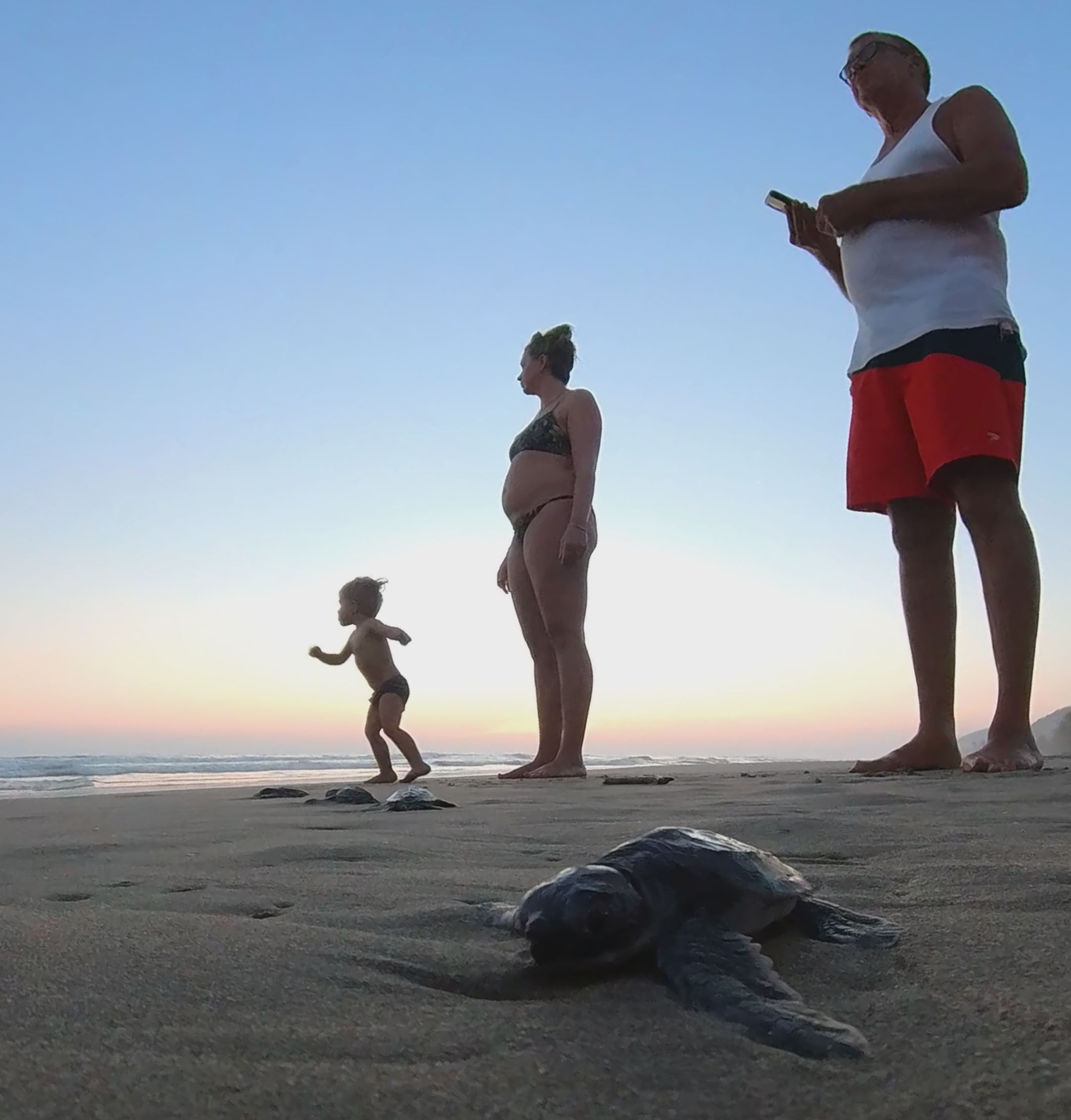 Mexico 2022 - Arlo releasing the turtles