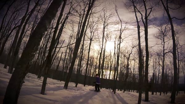 Looking through the trees at Lutsen